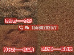 海藻籽里面的雜物應(yīng)該用啥機(jī)器清除？海藻籽比重風(fēng)選篩分機(jī)